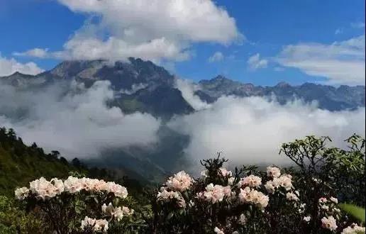 【西旅集团】舒适自在，康养朱雀