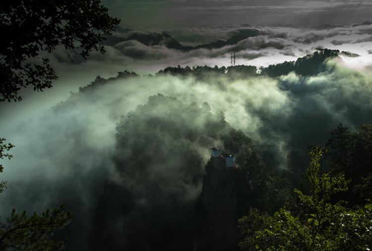 2020年中国秦岭生态旅游文化节“纳凉.康养.酬宾”活动启动