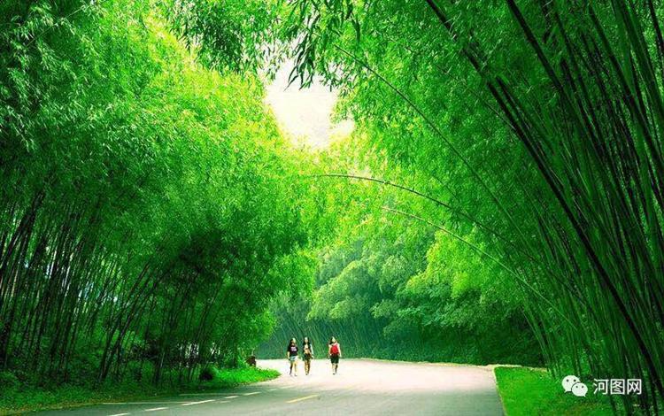 风雨二十年，重渡沟的华丽蜕变 ——重渡沟总经理刘海峰访谈录