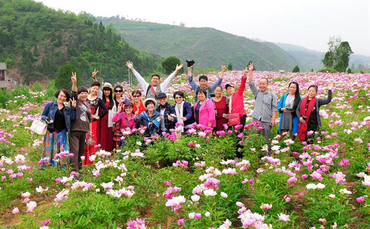 美丽中国行旅居新模式——抱团养老，互相温暖，做一只潇洒的候鸟！