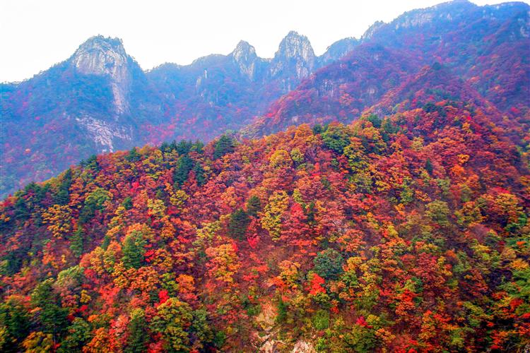 看央视《山河锦绣》赏中原大美尧山