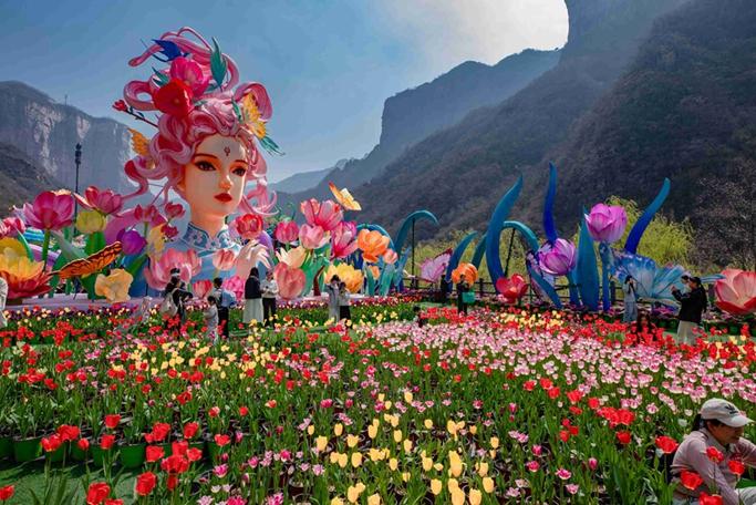 新焦影聚宝泉 光影赋能文旅