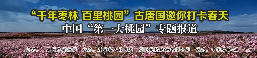 首页房车生活下方4个-3